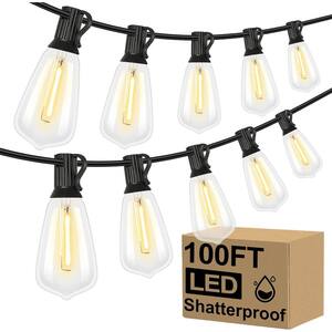 Hampton Bay 24-Light 48 ft. Plug-in Indoor/Outdoor Edison Patio String ...