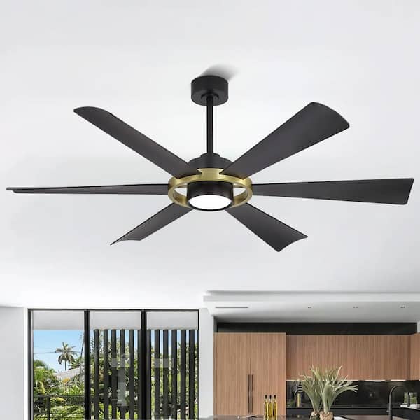 60 in. (5 ft.) 6-Plywood Blades Black and Gold circle Indoor LED Ceiling Fan with Remote Down-rod Mount