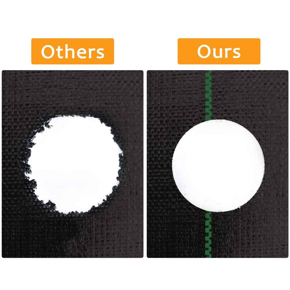 Black Polypropylene Weed Barrier Mat with Planting Holes, 4'x12'