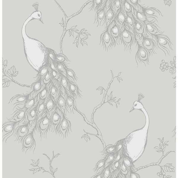 Fine Decor Phasia Grey Peacock Paper Peelable Roll (Covers 56.4 sq. ft.)