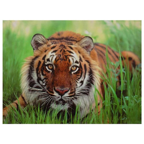 Oriental Furniture 24 in. x 32 in. Crouching Tiger Canvas Wall Art