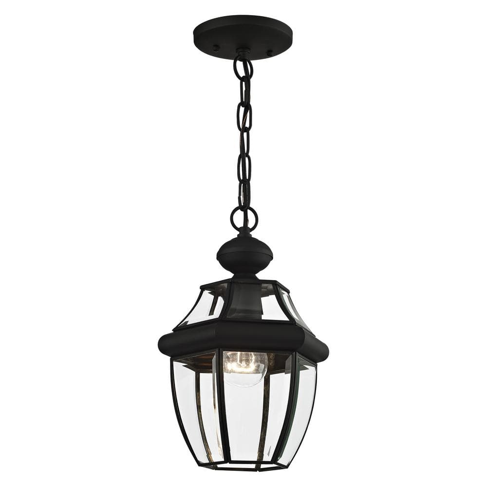 Black Glass 1-Light Indoor/Outdoor Pendant Lantern
