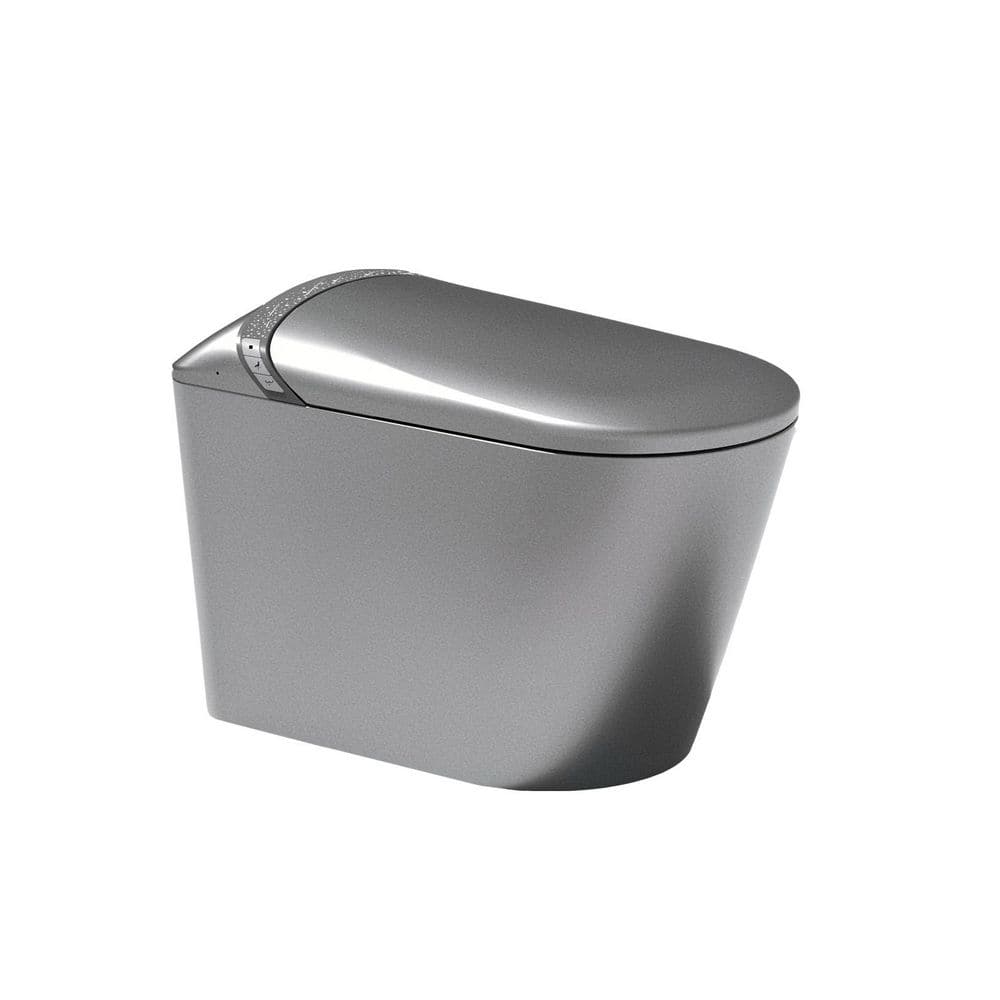 Starry Night Light Elongated Bidet Toilet 1.28 GPF in Matte Gray with Auto Open/Close, Heated Seat, Warm Air Dryer price history on PriceWatchPro