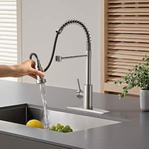 Single Handle Pull Down Sprayer Kitchen Faucet with Advanced Spray Gooseneck Pull Out Spray Wand in Brushed Nickel