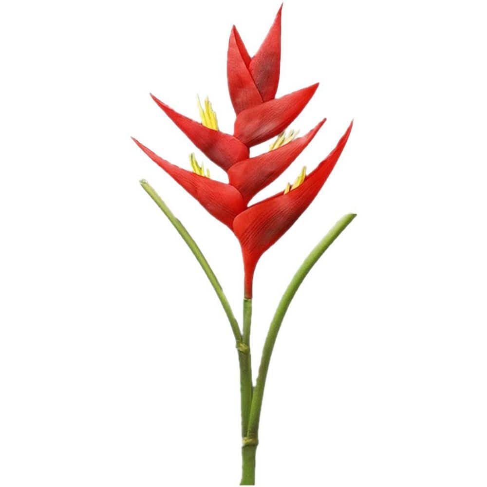 34 in. Artificial Red Bird of Paradise Flower Large Heliconia Stem