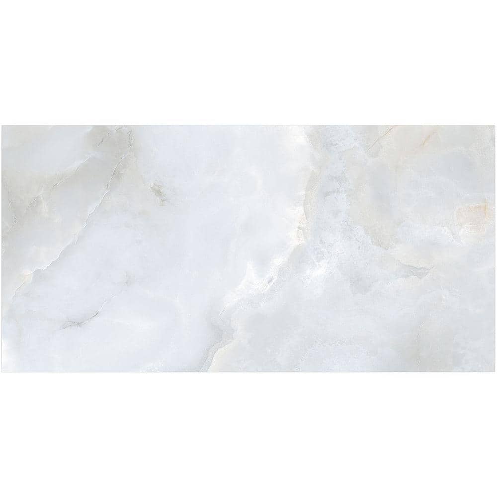 Bijou 24" x 48" Gray Polished Porcelain Marble Look Tile