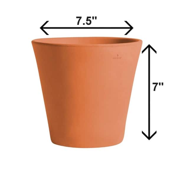 Vigoro 7.5 in. Dia. x 7 in. H Terra Cotta Clay Cabo Flair Pot DP