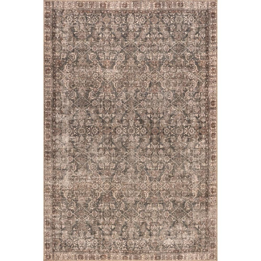 Hillstone Brown 5 ft. x 8 ft. Traditional Vintage Medallion Area Rug price history on PriceWatchPro