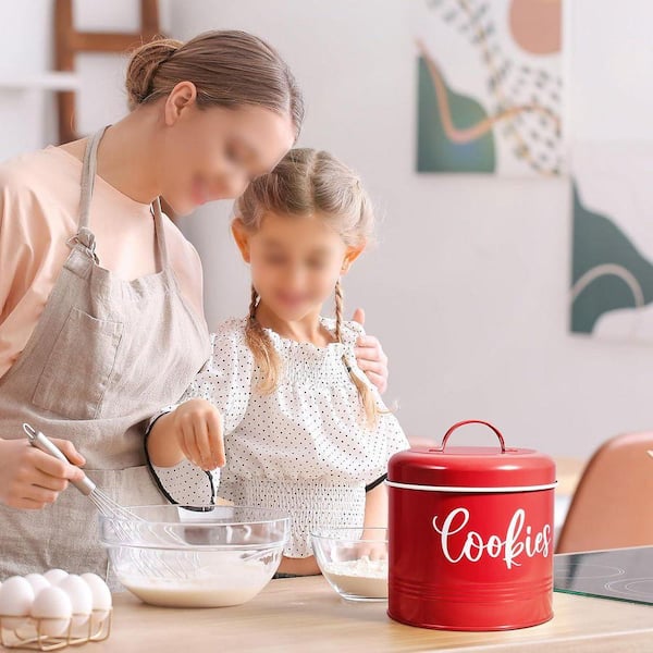 Lynzavix 1-Piece Airtight Vintage Farmhouse Cookie Jar Large Food
