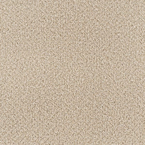 Home Decorators Collection Spicework I  - Norway - Beige 40 oz. SD Polyester Texture Installed Carpet