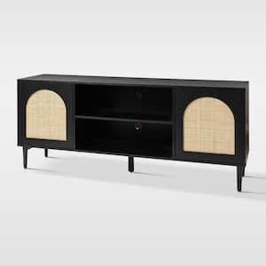 Roderick Black 2-Doors TV Stand for TVs up to 63 in. with Solid Wood Legs