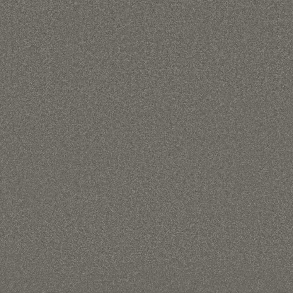 8 in. x 8 in. Texture Carpet Sample-Park Royal II-Color Safari price history on PriceWatchPro
