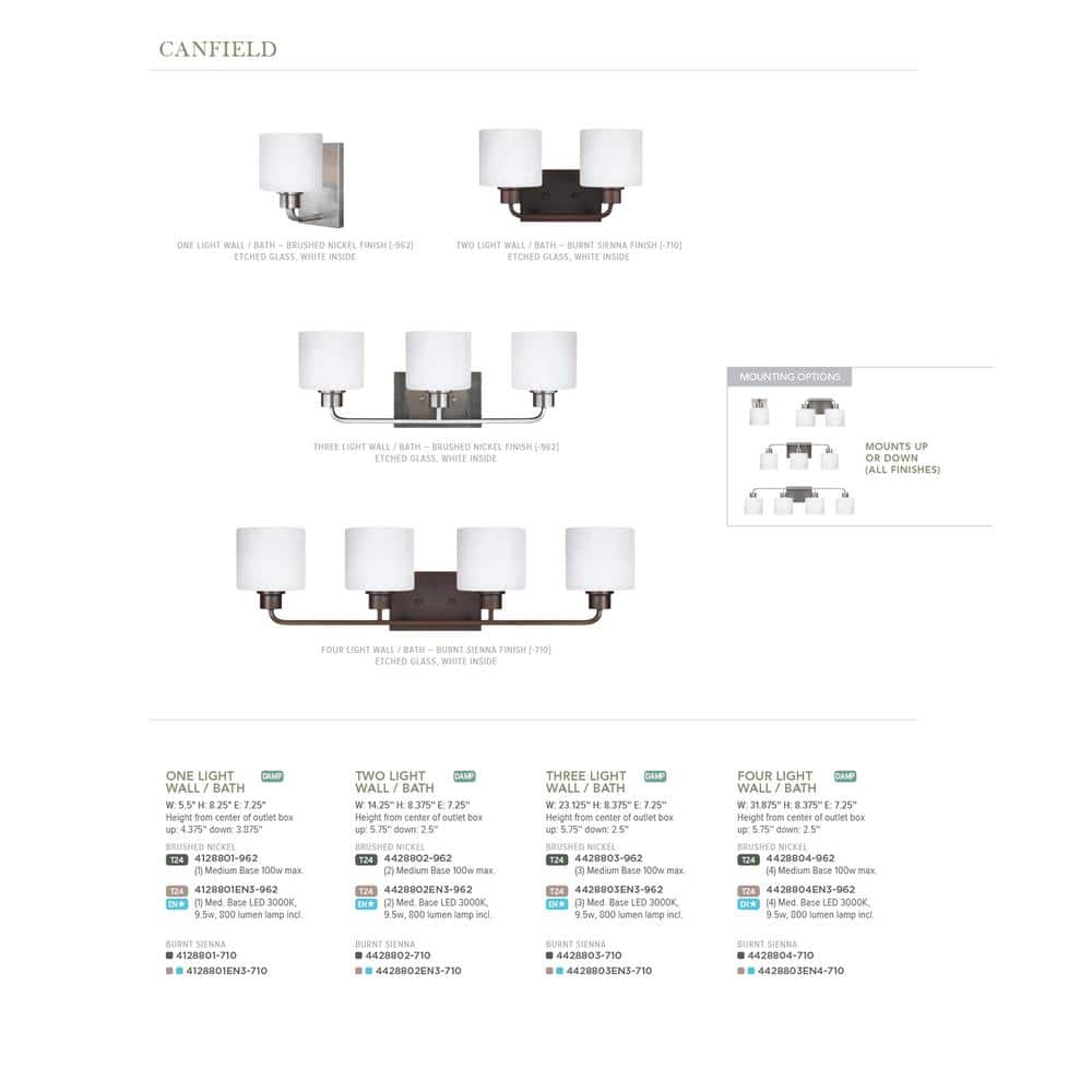 Canfield 3-Light Bronze Wall/Bath Fixture with Etched White Glass