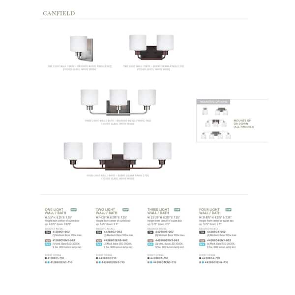 Canfield 23 in. 3-Light Brushed Nickel Minimalist Modern Wall Bathroom Vanity Light with Etched White Glass Shades