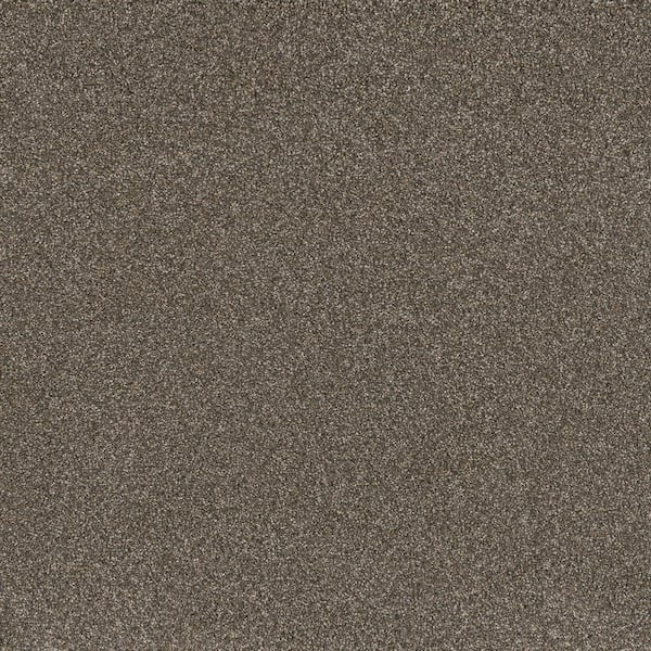 Lifeproof Hazelton III - Keeper - Brown 60 oz. Polyester Texture Installed Carpet