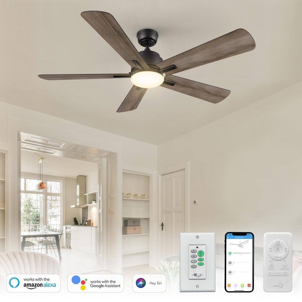 52 in. Indoor/Outdoor Black Downrod LED Smart Ceiling Fan with Remote Control and Wall Control, 10-Speed DC Motor price history on PriceWatchPro