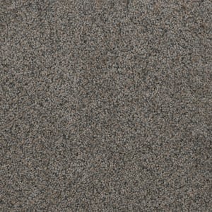 Affectionate II - Kind - Gray 55 oz. SD Polyester Texture Installed Carpet