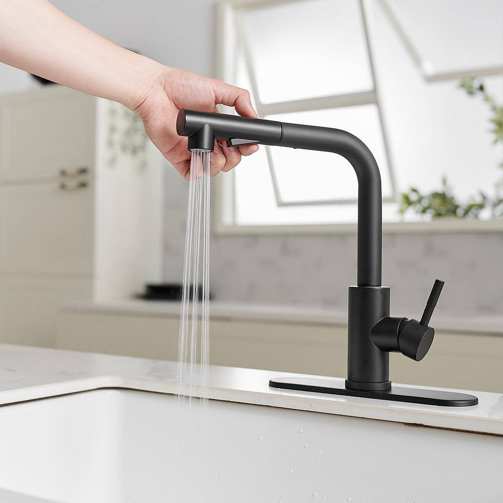 Matte Black Stainless Steel Pull-Out Spray Kitchen Faucet