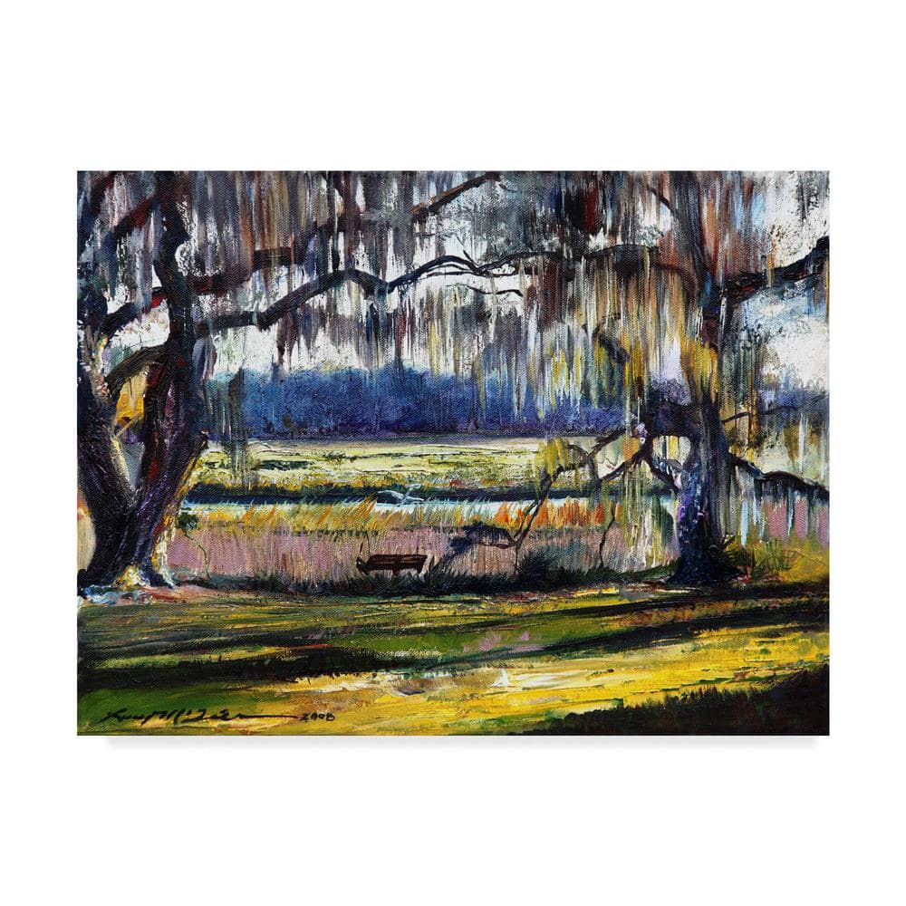 Trademark Fine Art 14 in. x 19 in. Lowcountry Spanish Moss Escape by ...