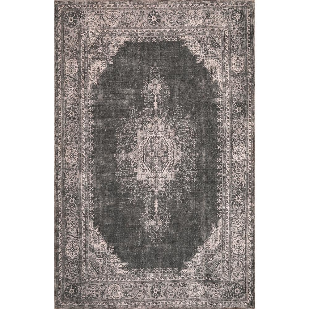 Cayetana Gray 10 ft. x 14 ft. Vintage Persian Machine Washable Area Rug price history on PriceWatchPro