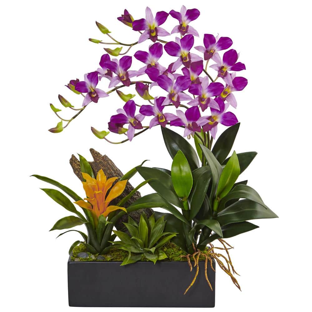 Nearly Natural Artificial Dendrobium Orchid and Bromeliad Silk Arrangement This faux dendrobium and bromeliad is dramatic and unique. The two lifelike plants are nestled together in a black rectangular planter filled with moss, making the arrangement look even more realistic. It adds a splash of summer to any room of the house.