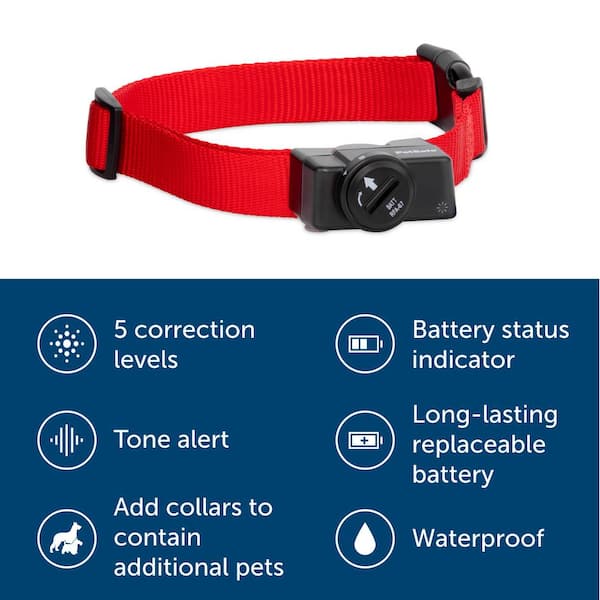 PetSafe Wireless Containment Receiver Collar PIF-275-19 - The Home 