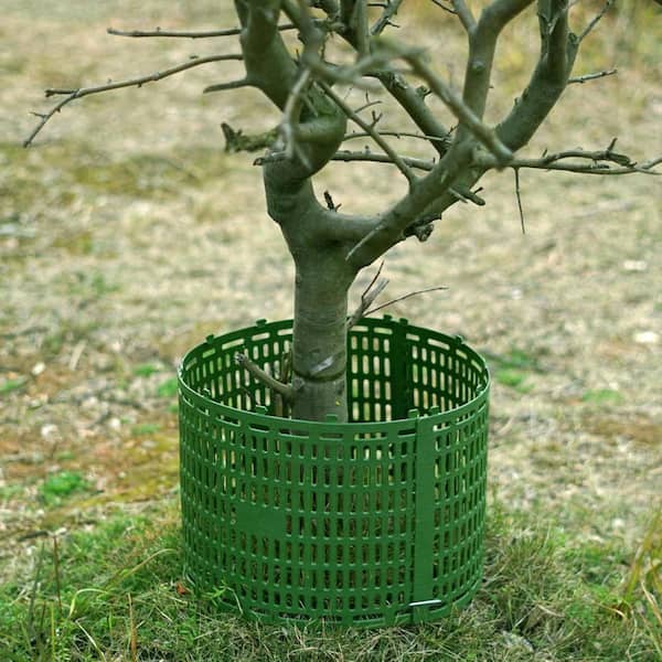 7-Piece Green Wnter Tree Trunk Protector Plant Cover HPCS5VHQ2L