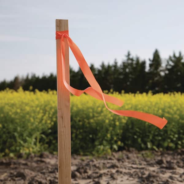 3 ft. Pine Wood Grade Stake (48-Pack)
