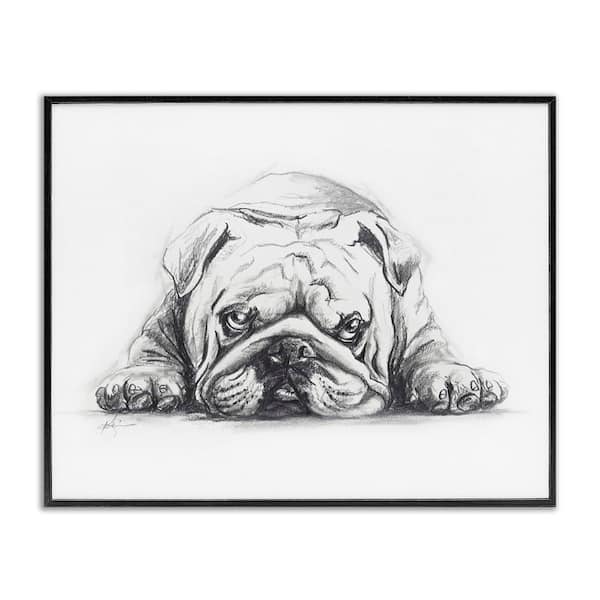 Bulldog Puppy Naptime by Lindsay Kivi Fine Art Black Framed Animal Giclee Art Print 16 in. x 20 in.