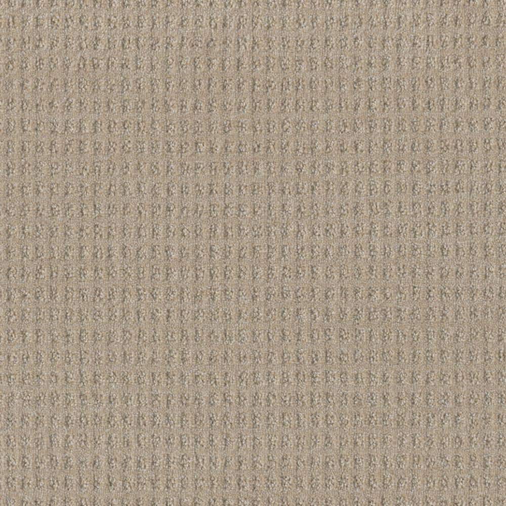 8 in. x 8 in. Pattern Carpet Sample - Amaryllis - Color Santiago price history on PriceWatchPro