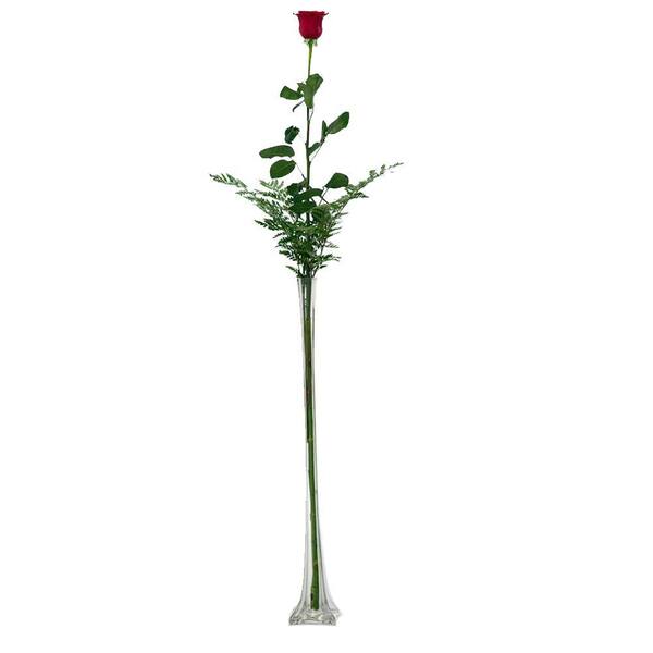 The Ultimate Bouquet Stunning 4 ft. Single Stem Rose in Clear Vase Overnight Shipping Included