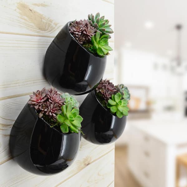 Round 3 1/2 in. x 4 in. Black Ceramic Wall Planter