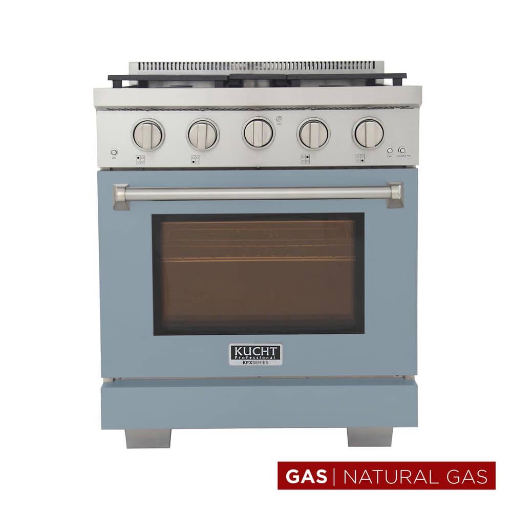 30 in. 4.2 cu. ft. 4-Burners Freestanding Natural Gas Range and Convection Oven in Light Blue with True Simmer Burners price history on PriceWatchPro