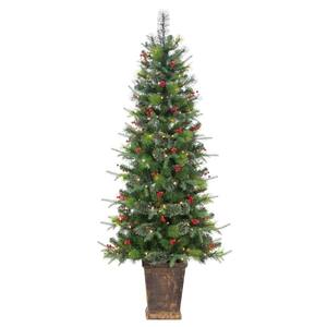 6 ft. High Potted Hard/Mixed Needle Douglas Pine Artificial Christmas Tree with Red Berries, 250 Warm White LED Lights