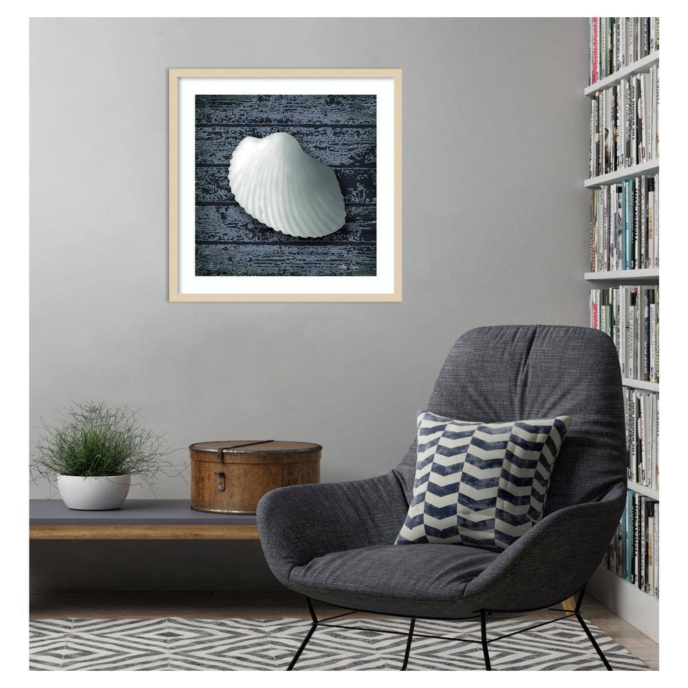 Seashore Shells Navy I Coastal Framed Wall Art Print