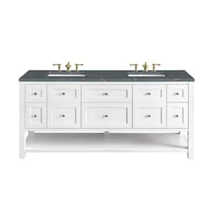 Breckenridge 72.0 in. W x 23.5 in. D x 34.2 in. H Double Bathroom Vanity in Bright White with Parisien Bleu Quartz Top