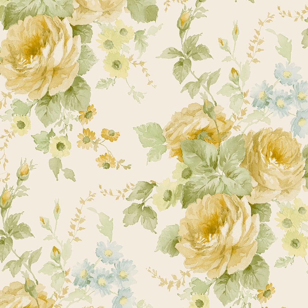 La Rosa Vinyl Roll Wallpaper (Covers 56 sq. ft.) price history on PriceWatchPro