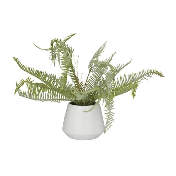 Litton Lane 14 in. H Fern Artificial Plant with Realistic Leaves and White Ceramic Pot