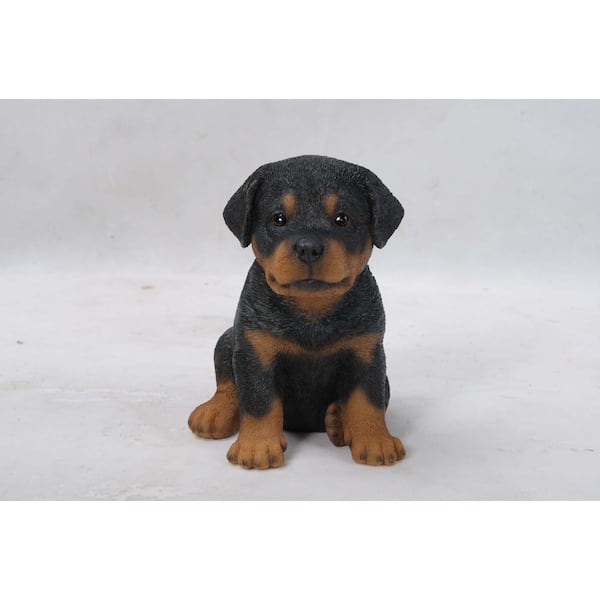 ROTTWEILER B.D SWEAT DOG BLESS YOU ブラックL WOOF