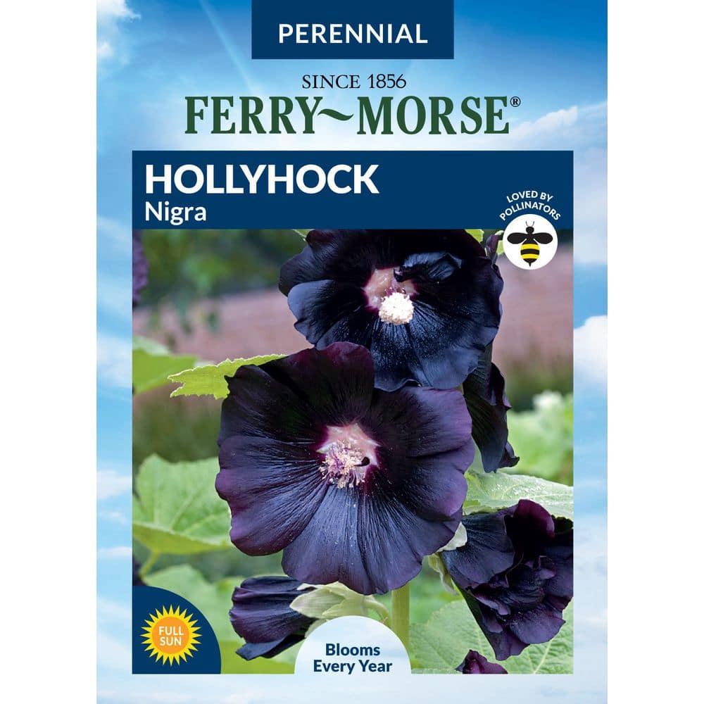 Ferry-Morse Hollyhock Nigra Flower Seeds 1751 - The Home Depot