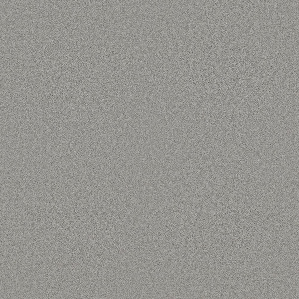 Lifeproof 8 in. x 8 in. Texture Carpet Sample - Coastal Charm II -Color River Slate