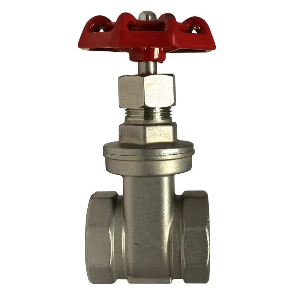 1/2 in. x 1/2 in. 316 Grade Stainless Steel Gate Valve