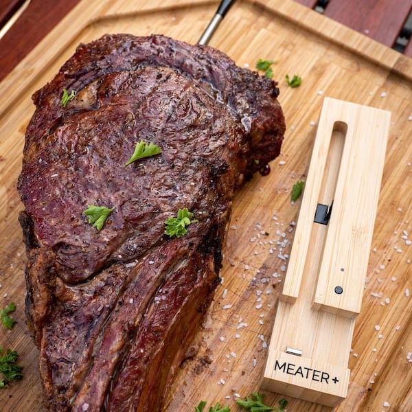 Traeger Pro Series 22-Inch Wood Pellet Grill W/ MEATER+ Smart Meat  Thermometer : BBQGuys