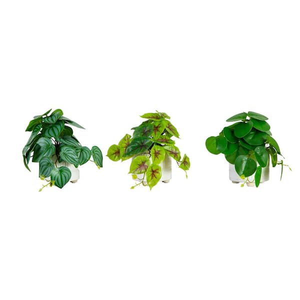 Nearly Natural 8 in. Artificial Mixed Greens in Ceramic Planter- Set of 3