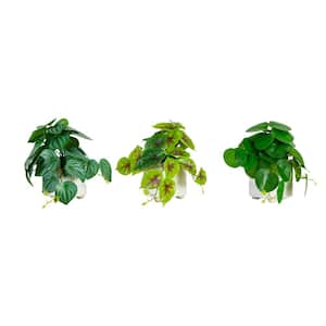 8 in. Artificial Mixed Greens in Ceramic Planter- Set of 3