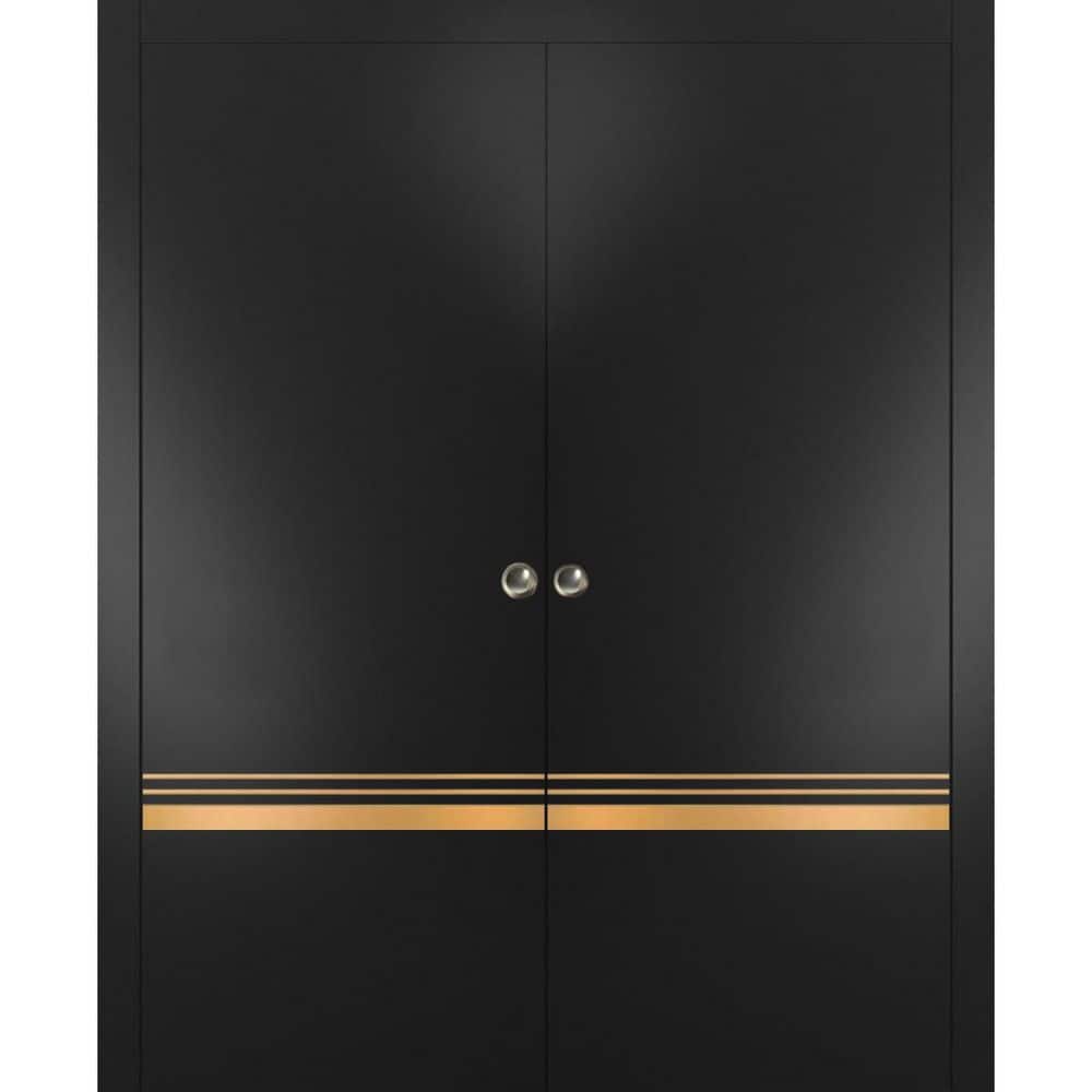 Assemble Required 48 in. x 80 in. 2-Panel Black Matte Finished Solid Wood with Honeycomb Sliding Door with Hardware price history on PriceWatchPro