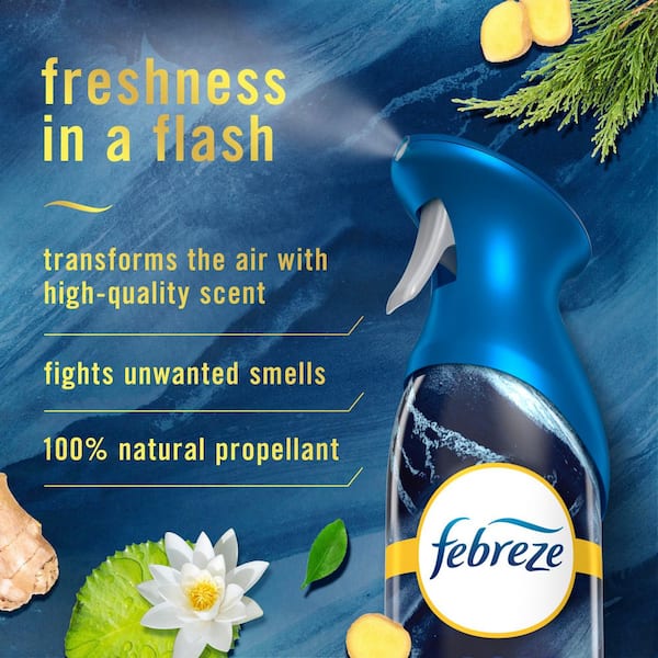 Air Odor Eliminating 8.8 fl. oz. Ocean Scent Air Freshener Spray (2-Count)