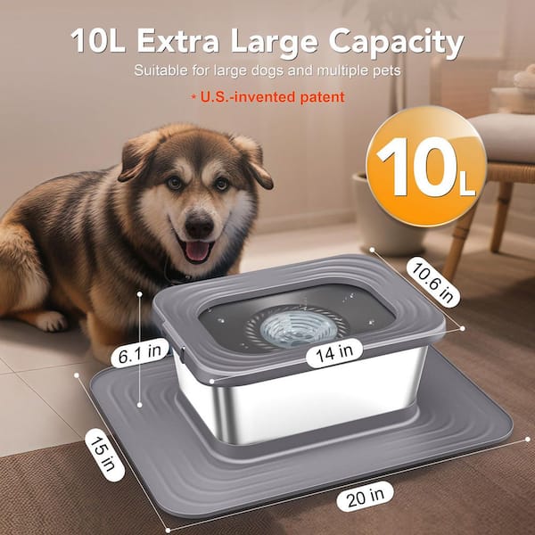 laser toy for cats Ruff & Whiskerz Cat Interactive Laser Toy -- 1 Toy main image 1