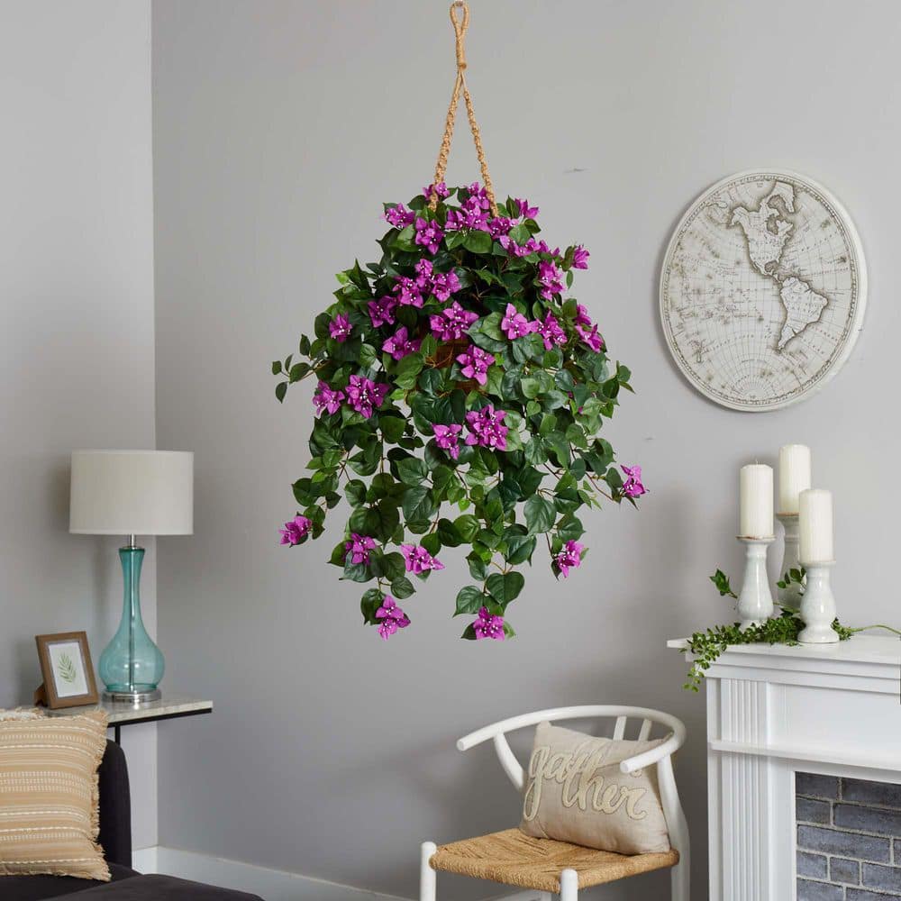 Elegant Outdoor Bougainvillea in Wooden Hanging Basket