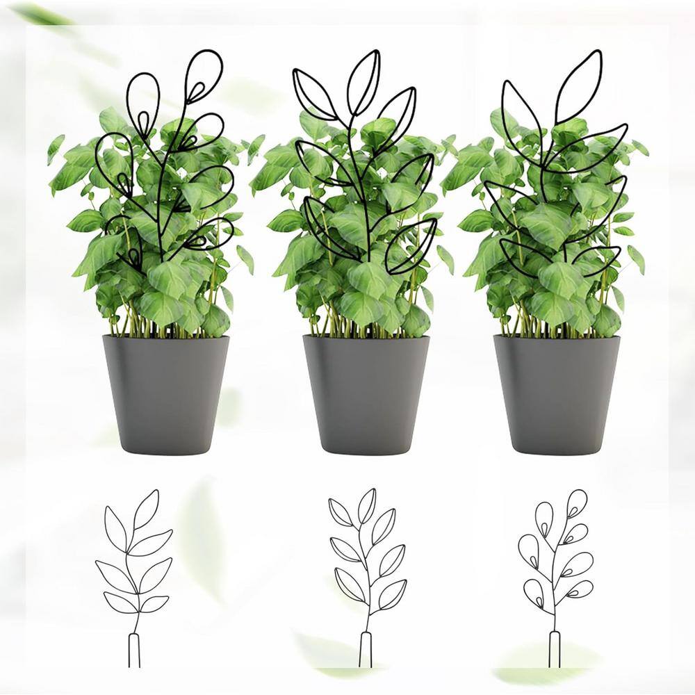 Set of 6 Black Metal Trellis for Climbing Plants